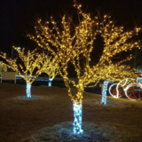 节日绕树装饰灯